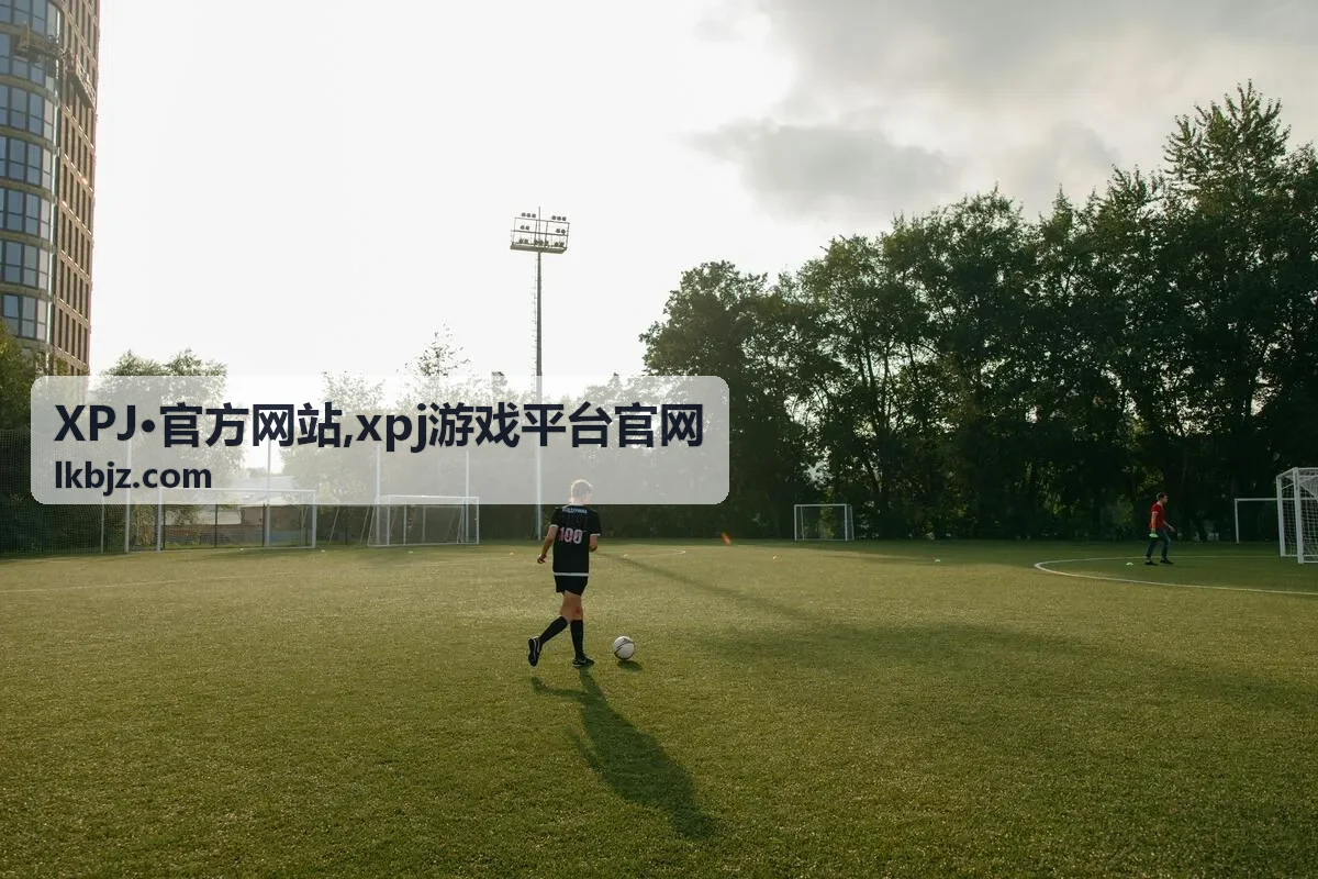 XPJ·官方网站入口说明封面