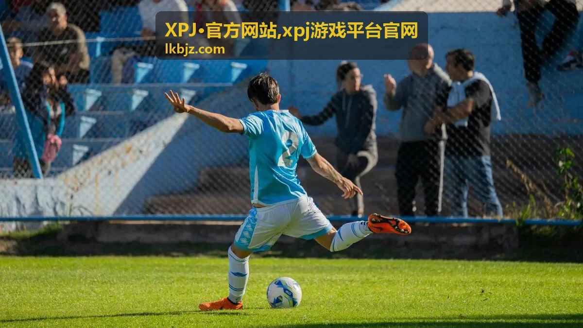 xpj游戏平台官网账户安全提示封面