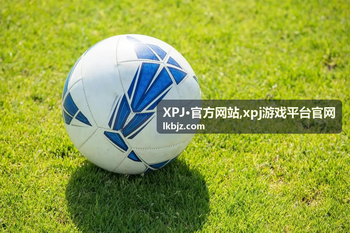 XPJ·官方网站服务说明封面